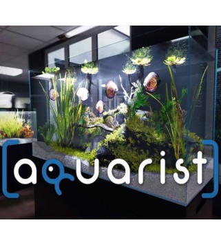 Aquarist Steam Key EUROPE